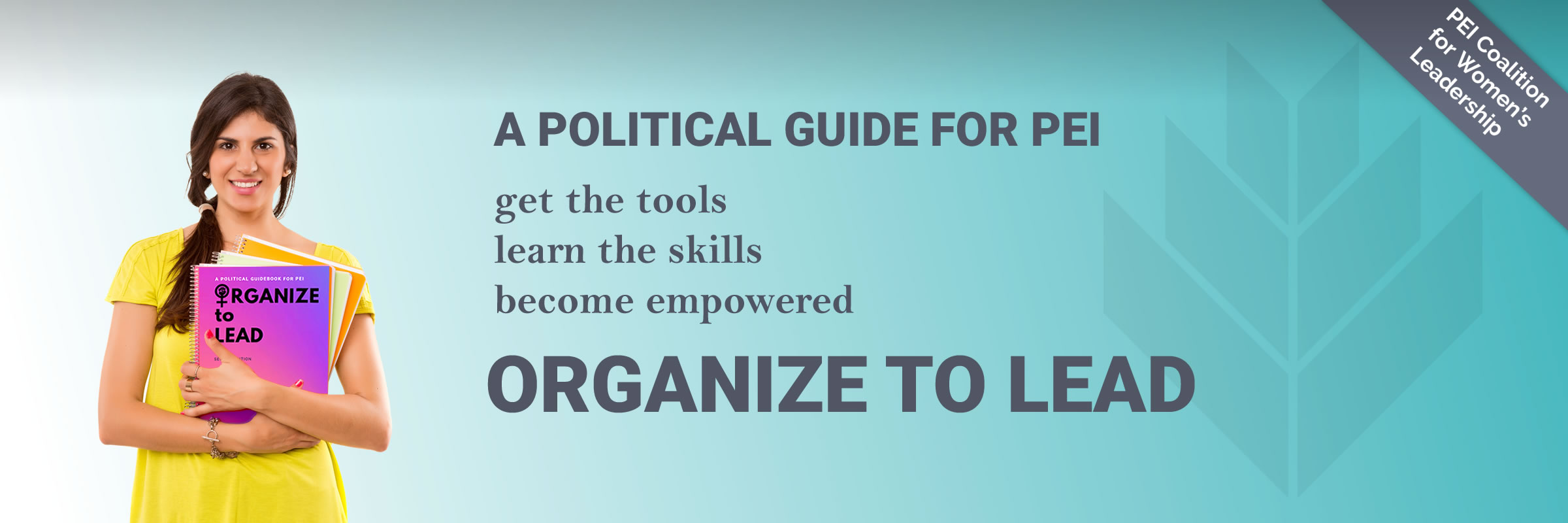 Organize to Lead 2.0 - A political guide for Prince Edward Island